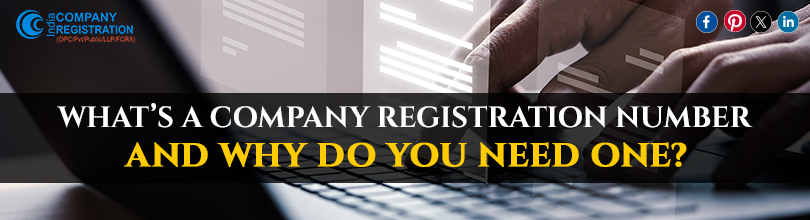 What's a Company Registration Number, and Why Do You Need One?